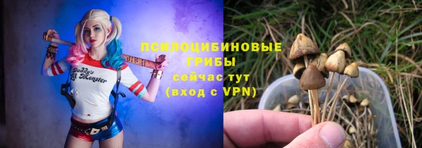альфа пвп Няндома