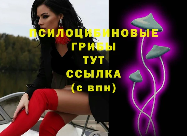 марки nbome Нязепетровск