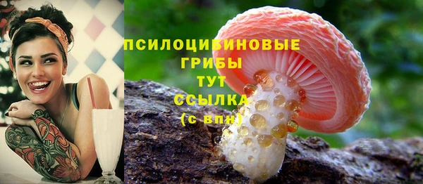 альфа пвп Няндома