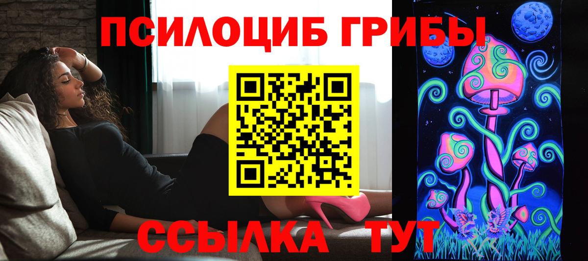Псилоцибиновые грибы прущие грибы Белореченск