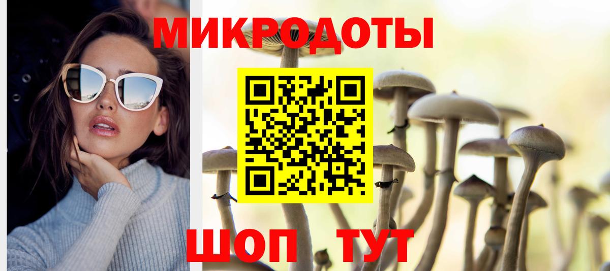 Белореченск  Галлюциногенные грибы Psilocybe  Вход с VPN 